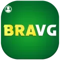Login seguro na bravg